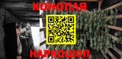 гашик Коммунар