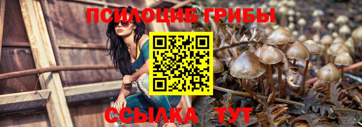 Галлюциногенные грибы Cubensis  Вход с VPN  Кемерово 