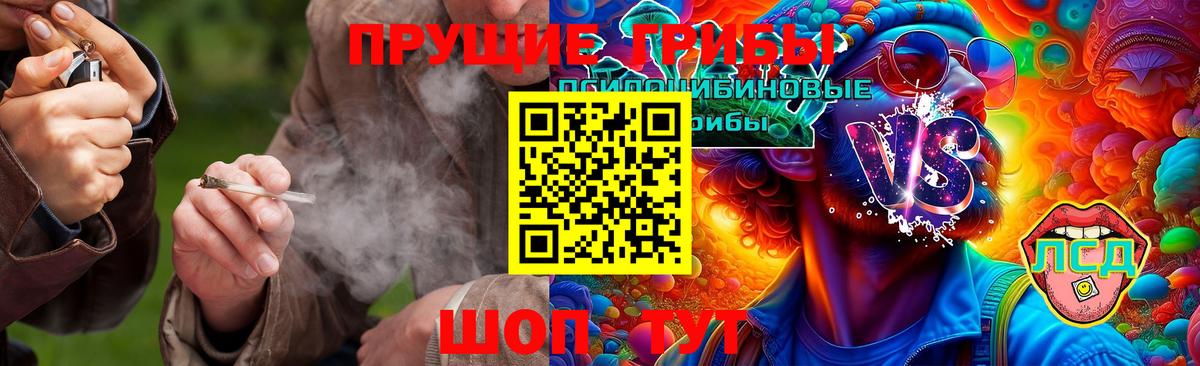 Псилоцибиновые грибы Cubensis Кемерово